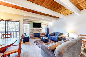 TV, fireplace, books