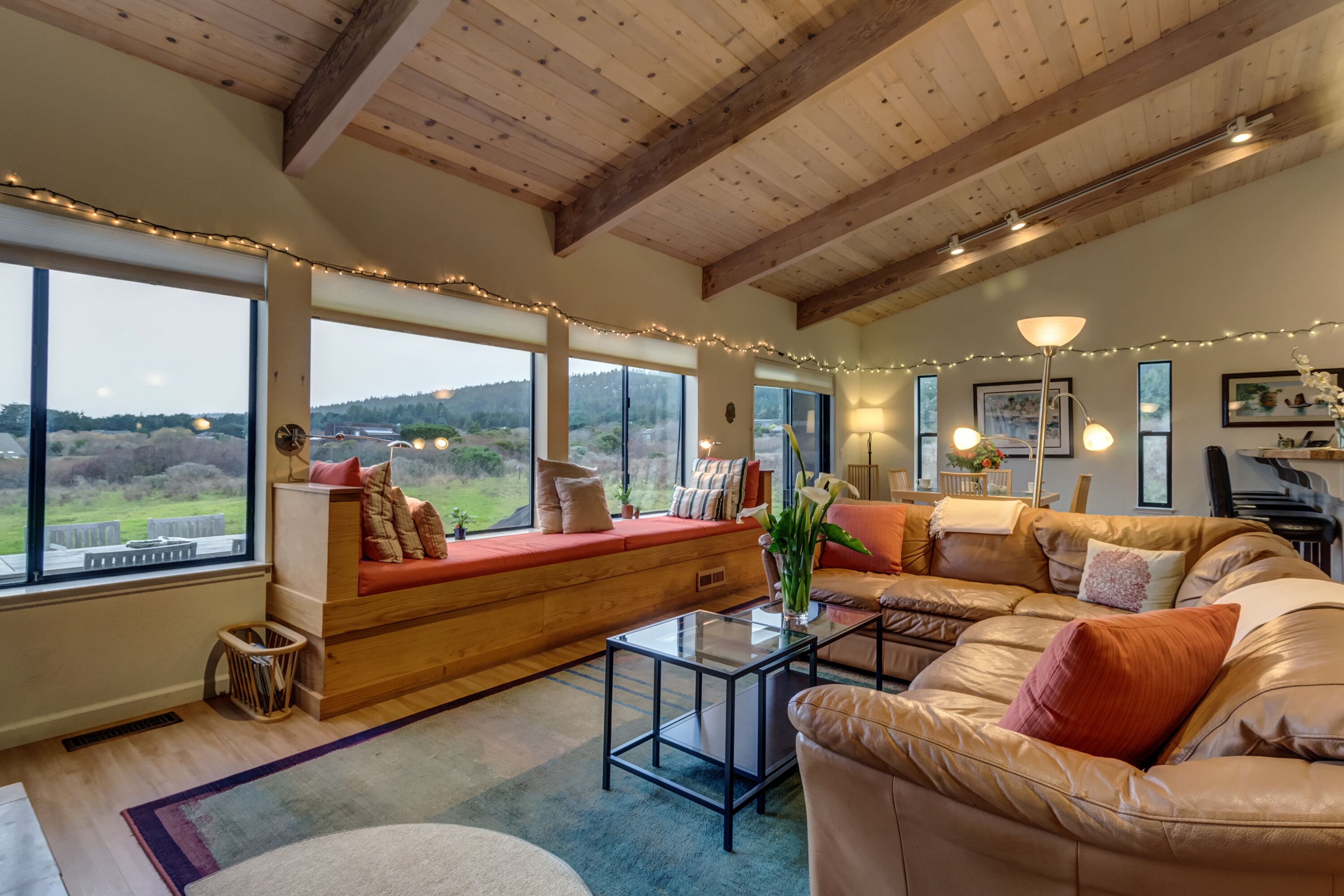 Televisio, DVD-soitin, kirjoja, videokirjasto