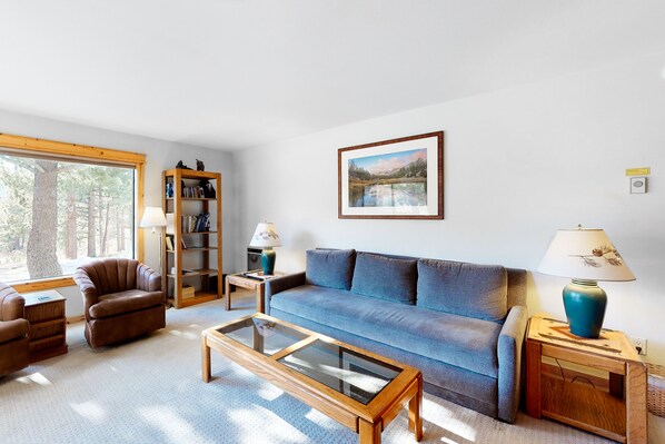 TV, fireplace, DVD player