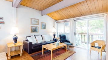 TV, fireplace, DVD player