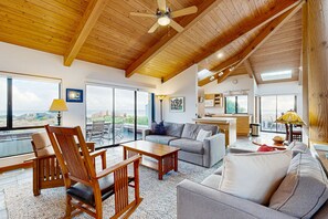 TV, fireplace, DVD player, books