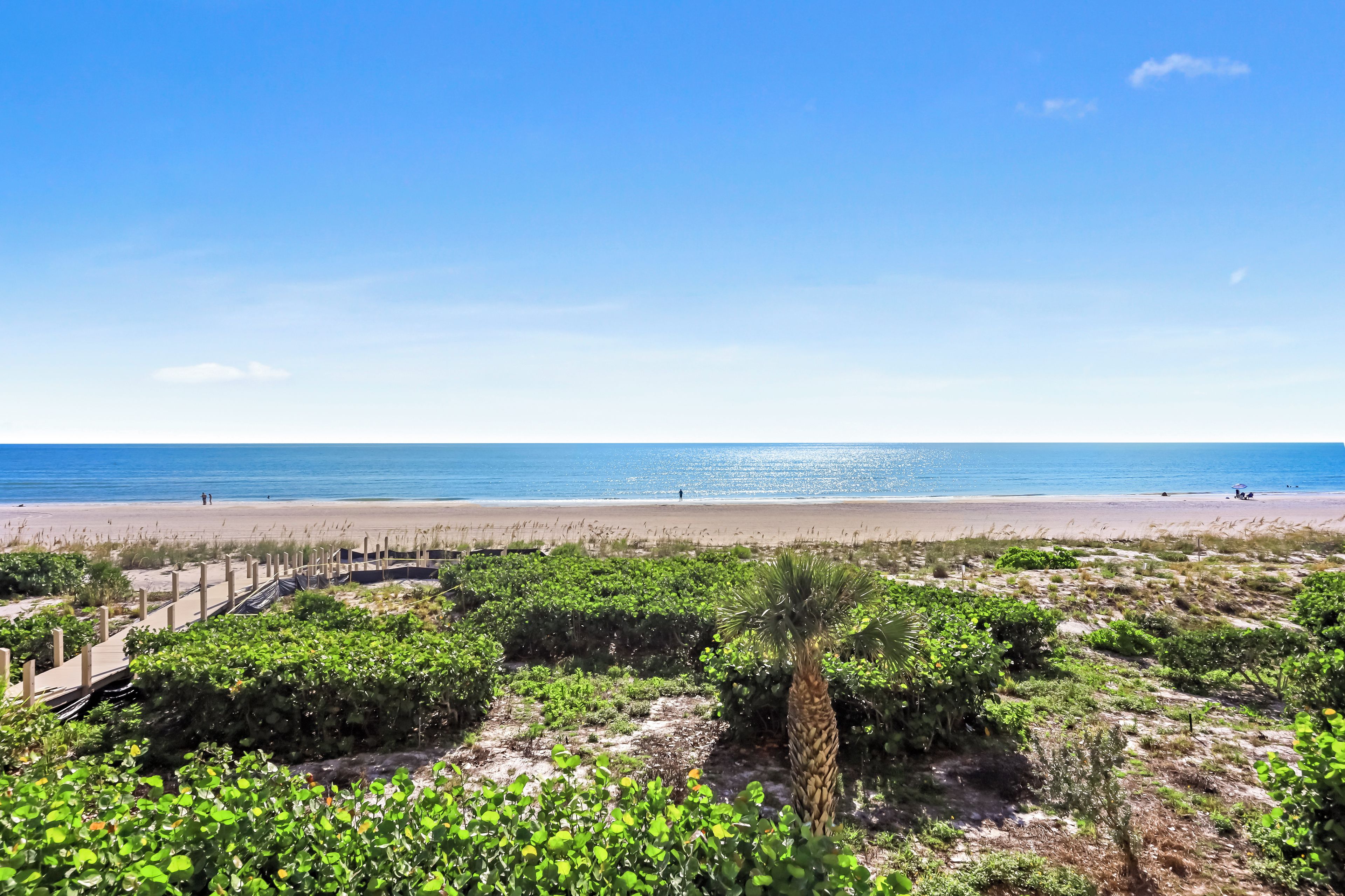A beach with a clear sky, a sandy shore, and some greenery in the foreground.