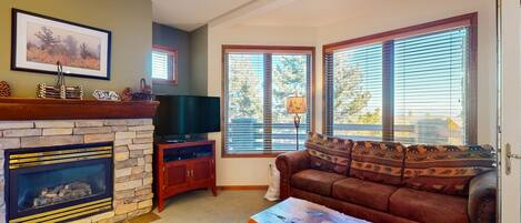 Televisor, llar de foc, reproductor de DVD i llibres