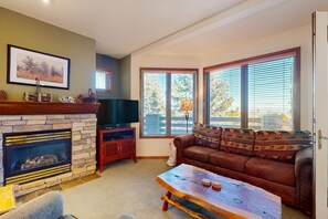 TV, fireplace, DVD player, books