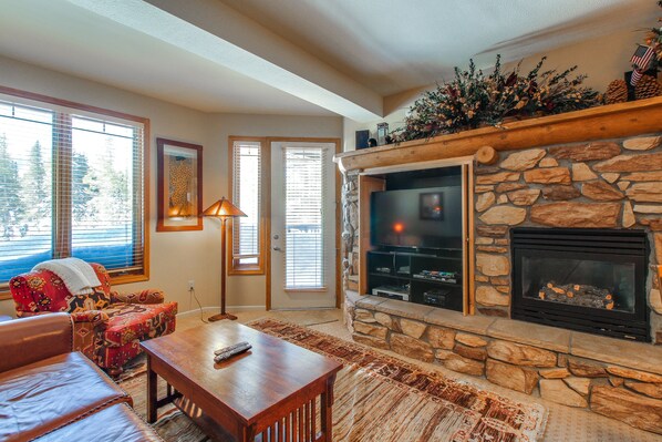 TV, fireplace, DVD player, books