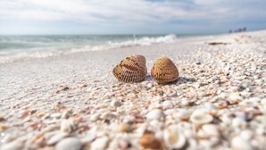 Beach - Waterfront Home | Views, Pool & Walk to Beach (Marco Island)