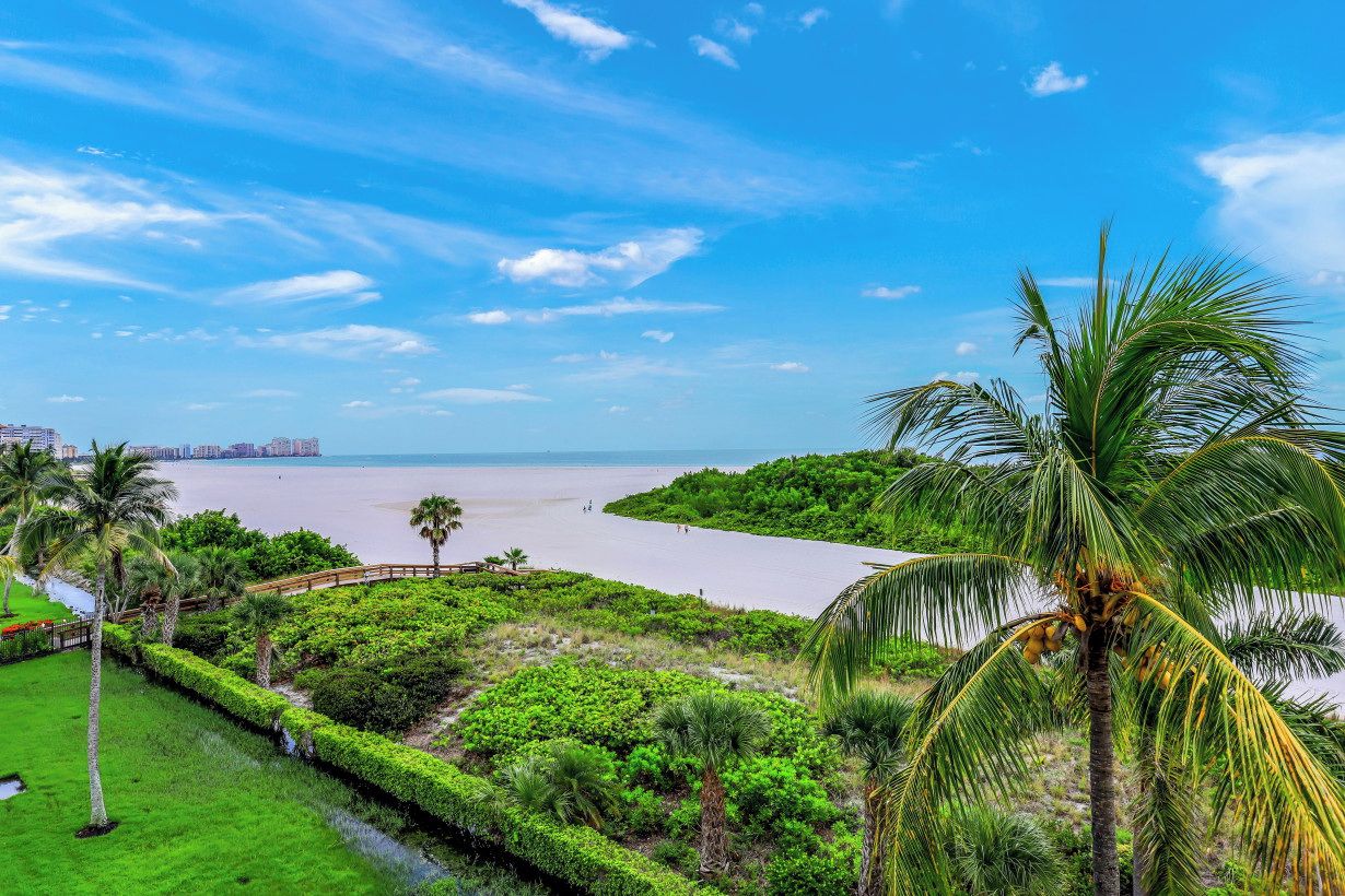 A coastal landscape with a beach, palm trees, and a distant cityscape.