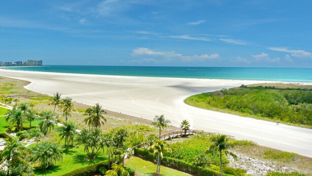 Una carretera costera con playa y palmeras.