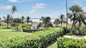 Ein tropischer Garten mit Palmen, einem Weg und Blick auf den Strand.