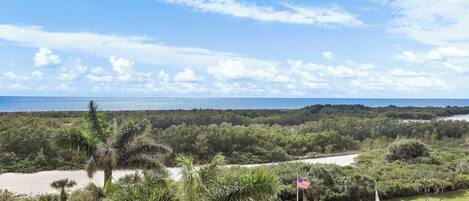 A view of a coastal landscape with a beach, palm trees, and a flag.