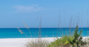 Tæt på stranden