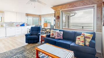 Télévision, cheminée, lecteur de DVD, chaßne hi-fi