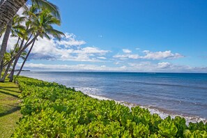 On the beach - 150-3 Superior Oceanfront Gold Coast Location. (Lahaina)