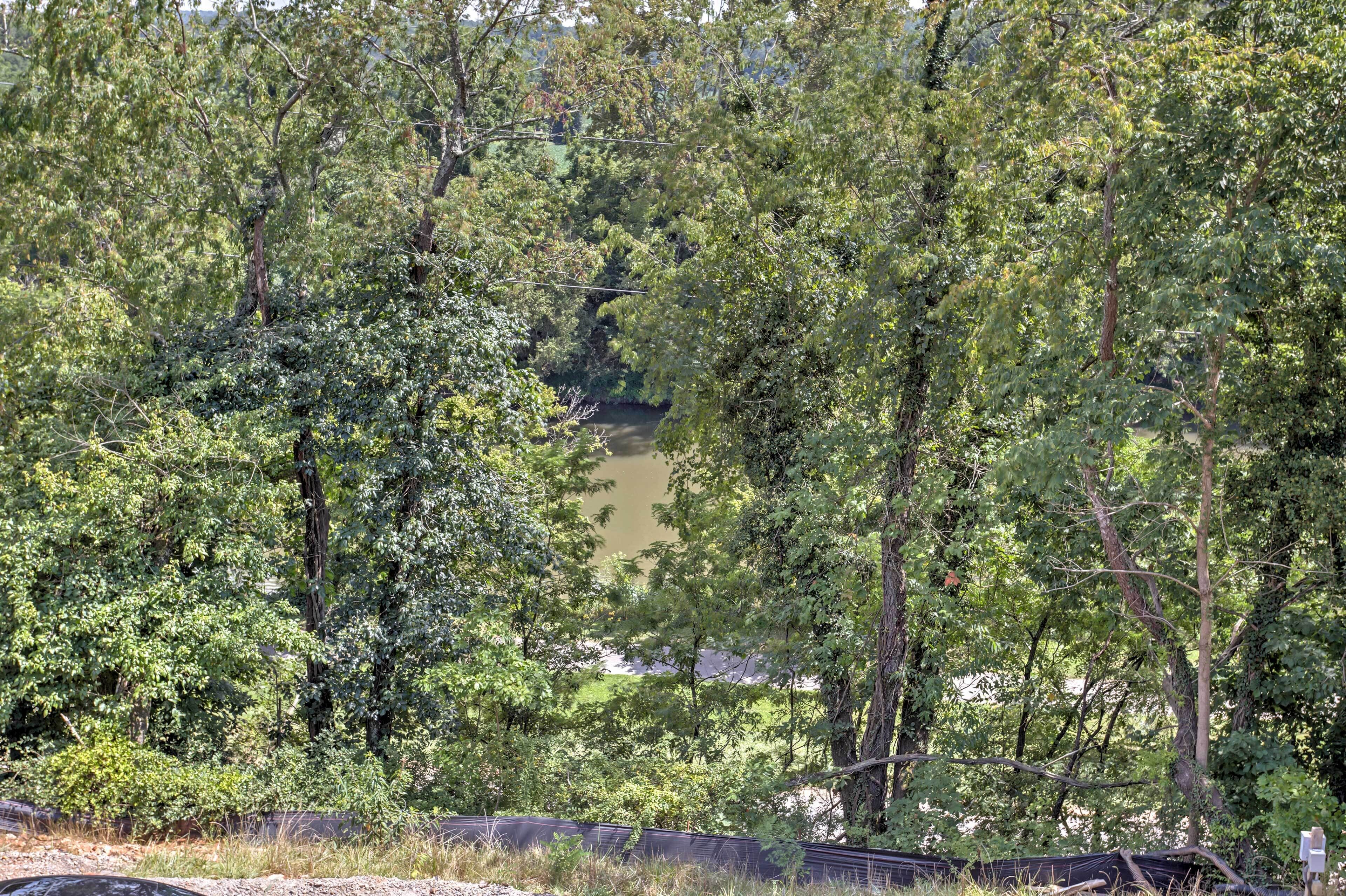 A dense forest with a river in the background.