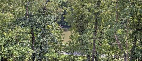 A dense forest with a river in the background.