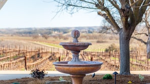 A rustic fountain in a landscaped area with a vineyard in the background.