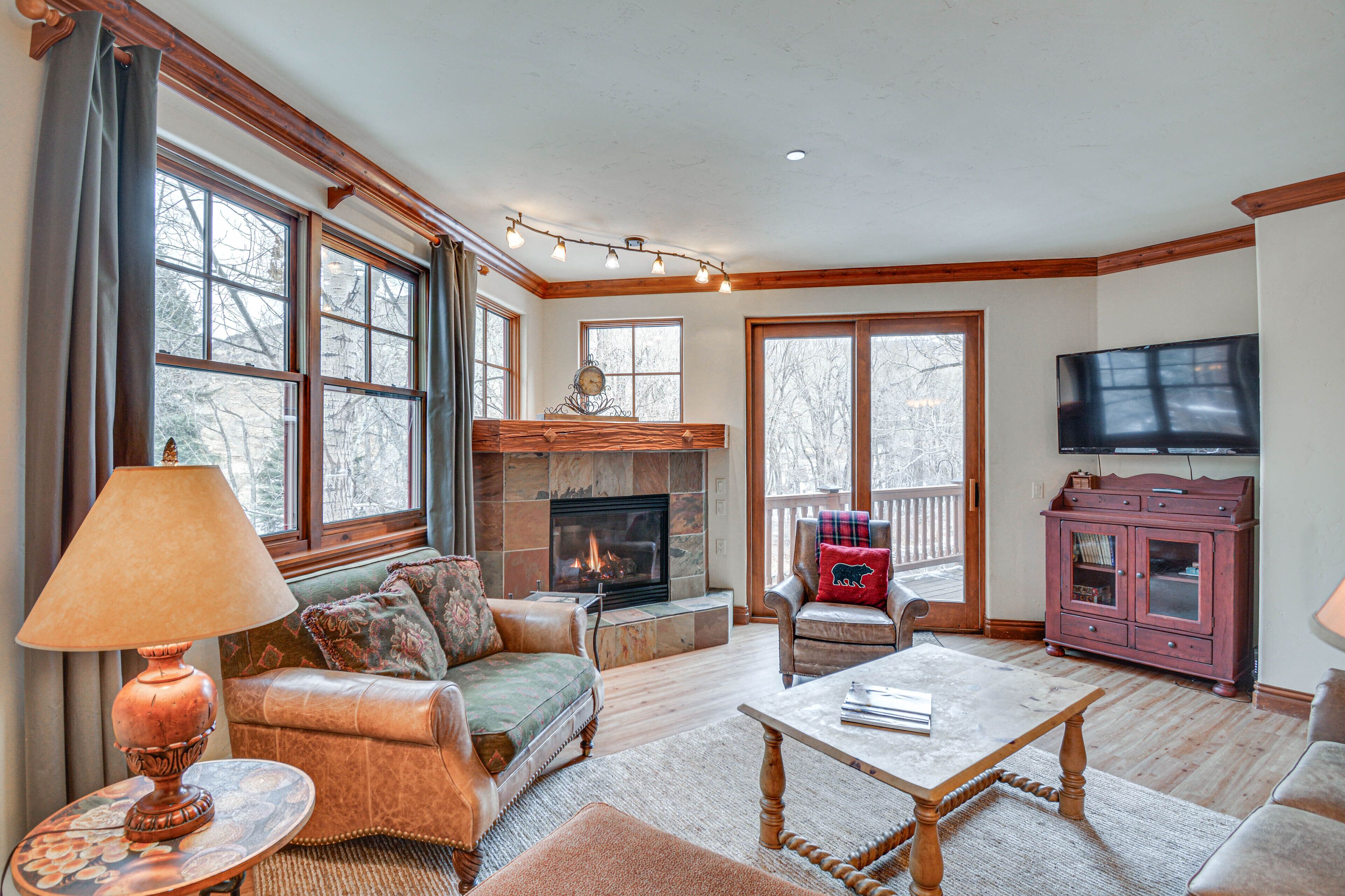 TV, fireplace, books