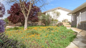 Un barrio residencial con una casa blanca, un árbol de hojas rojas y un jardín con flores naranjas.