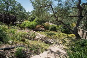 Un jardin avec un sentier en pierre, différentes plantes et des arbres.
