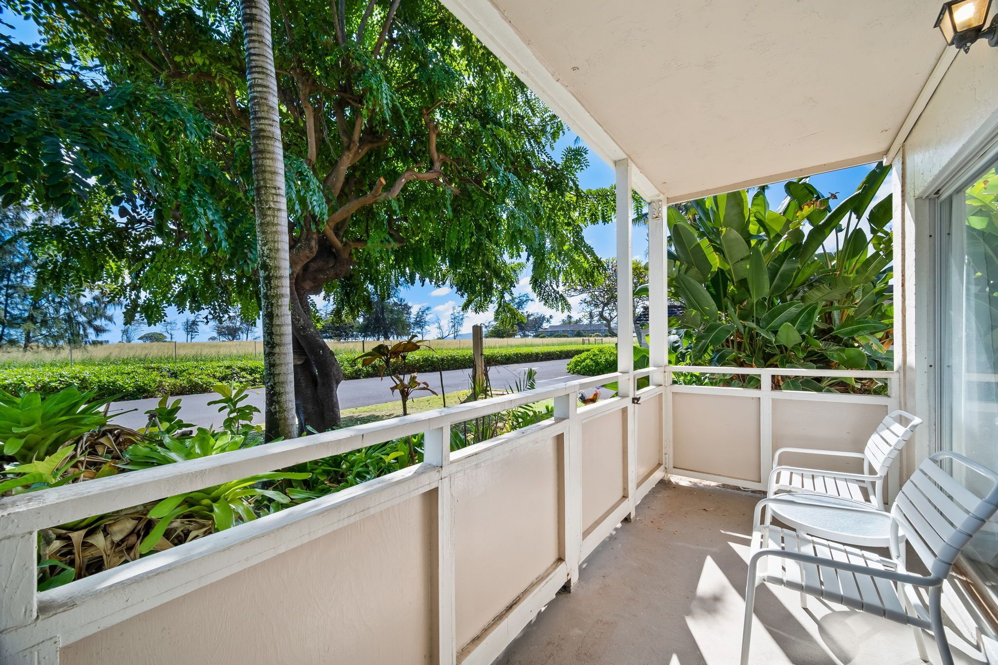 Terrasse/patio