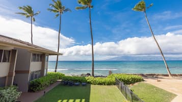 A hotel with a view of the ocean, palm trees, and a well-maintained lawn.