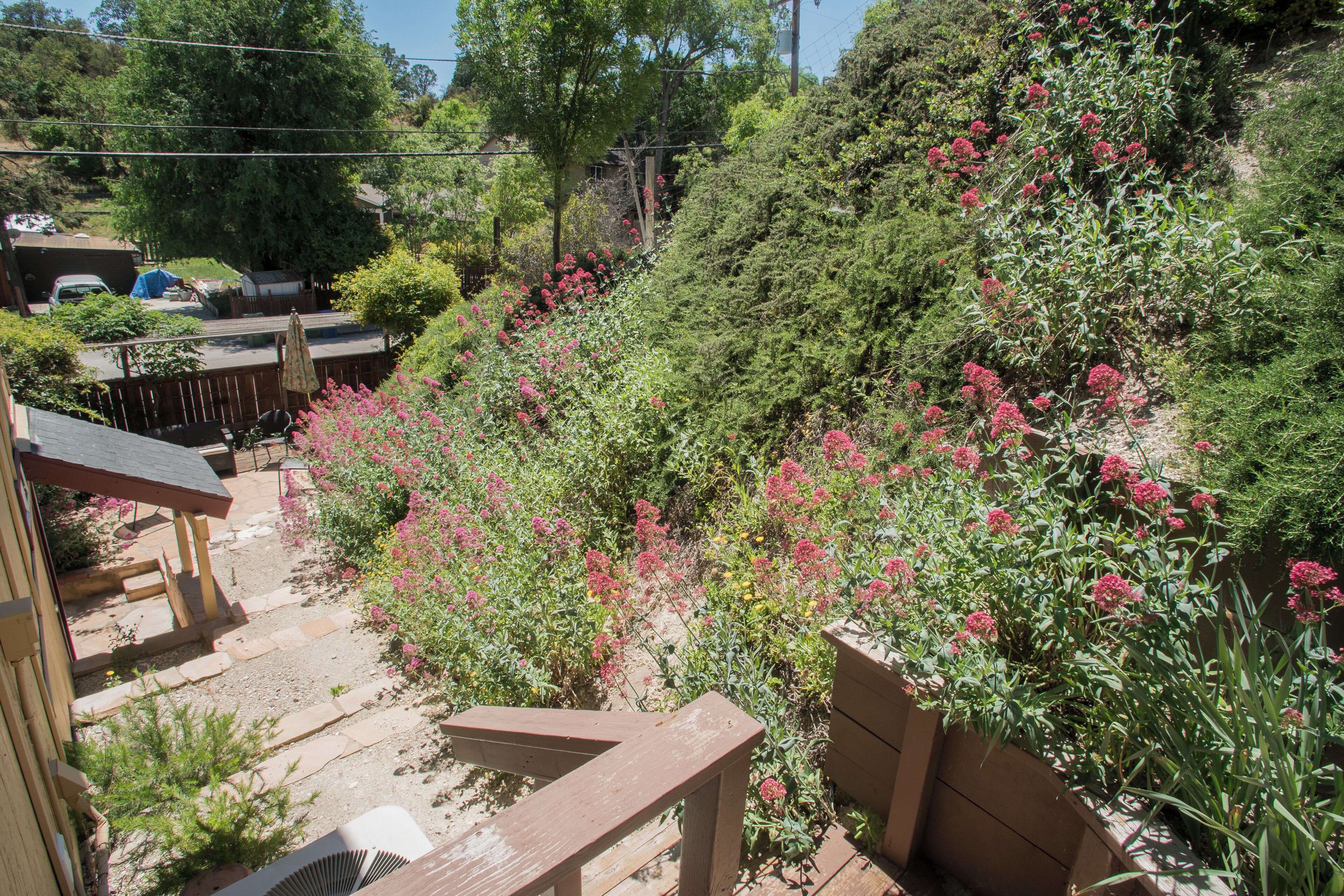Un jardín con terraza de madera, un sendero de piedra y diversas plantas y flores.