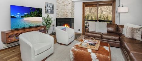 Télévision, cheminée, lecteur de DVD