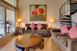 TV, fireplace, DVD player, books