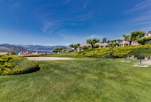 A residential area with houses on a hillside, a well-maintained lawn, and a clear blue sky.