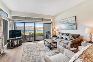 TV, fireplace, DVD player