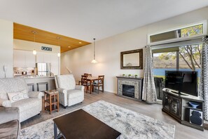 Televisión, chimenea y reproductor de DVD 