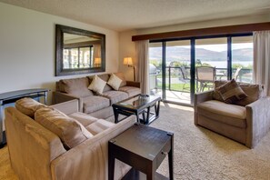 Télévision, cheminée, lecteur de DVD