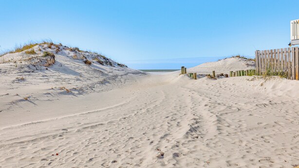 Un sentiero sabbioso che conduce all'oceano, costeggiato da dune e recinzioni di legno.