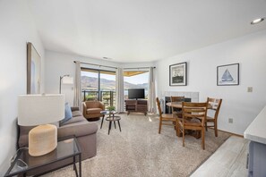 Televisión, chimenea y reproductor de DVD 