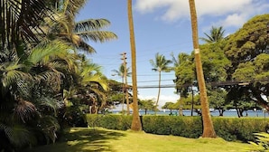 Un jardín tropical con palmeras, un césped cuidado y vistas al mar.