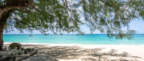 Una spiaggia nelle vicinanze