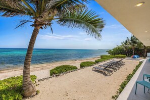 Ein Strand mit einer Palme, Liegestühlen und Blick aufs Meer.