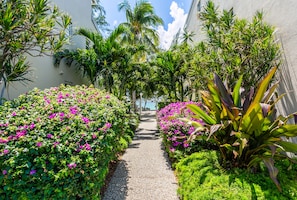 Stroll through the lush garden, lined with vibrant flowers and tropical plants, to the simple, modern building.