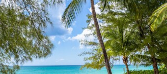 White Sands 9 - A Romantic Condo directly on a 7MB Beach! Call Cayman Villas.