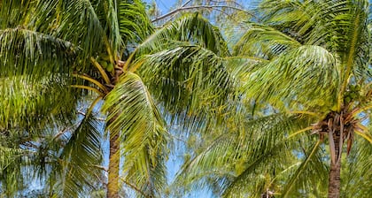 White Sands 9 - A Romantic Condo directly on a 7MB Beach! Call Cayman Villas.