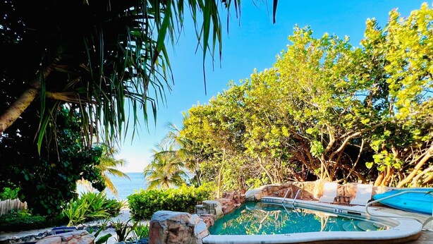 Ein Poolbereich mit Blick auf das Meer, umgeben von tropischer Vegetation und Felsen.