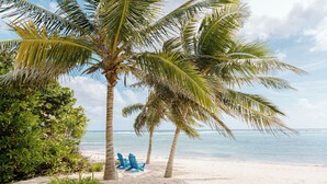 Ein Strand mit Palmen und zwei blauen Stühlen.