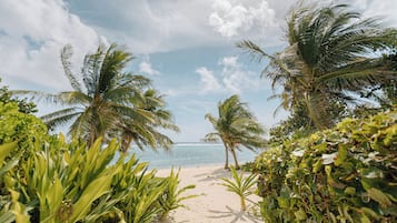 On the beach