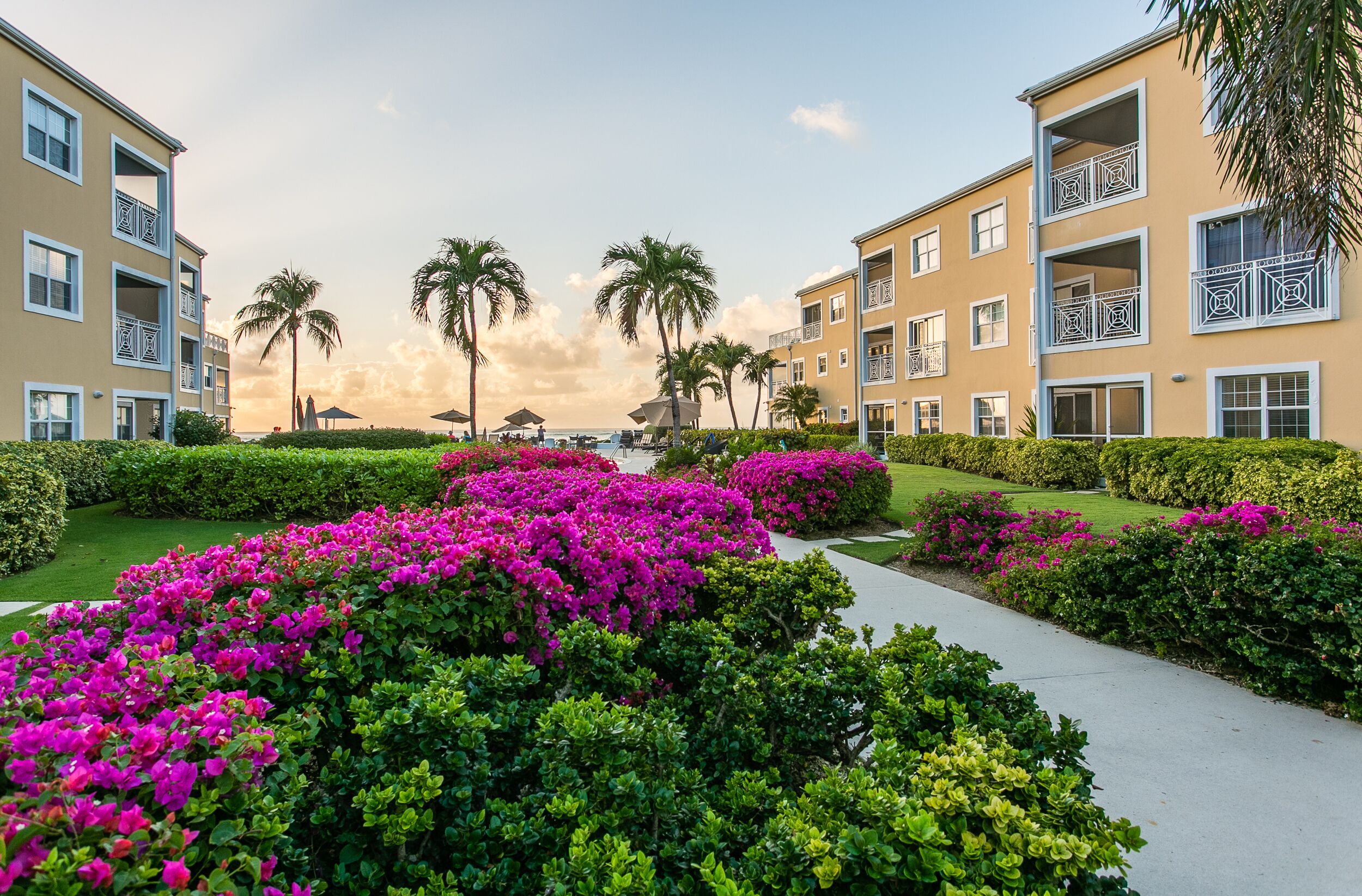 Área da propriedade