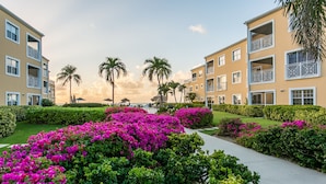 A hotel with a pathway lined with vibrant pink bougainvillea flowers, palm trees, and neatly trimmed hedges.