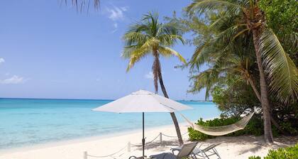 Coral Reef am Seven Mile Beach - das Kronjuwel der Cayman-Inseln