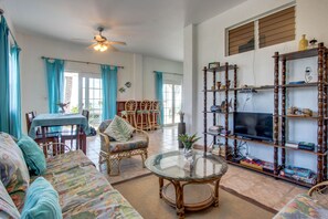 TV, books - Oceanfront villa with pool, beach access, ocean view, partial AC & strong WiFi (San Pedro)