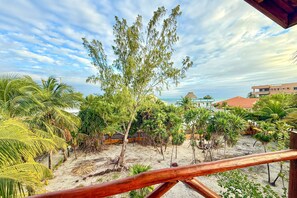 Property grounds - Waterfront villa with private pool, balcony, partial AC, fast WiFi - near beach (San Pedro)