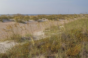 Ubicación cercana a la playa