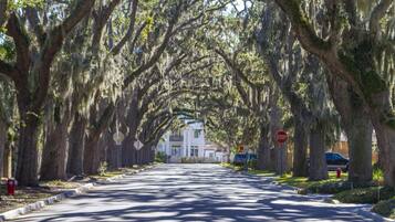 Área da propriedade